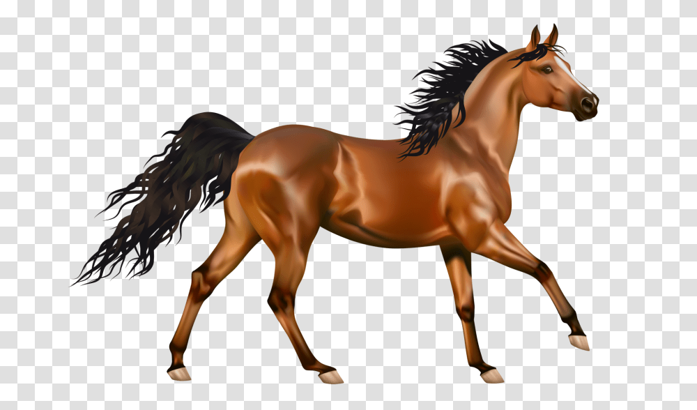 Brown Horse Clip Art Wallpaer Hd, Mammal, Animal, Colt Horse, Stallion Transparent Png