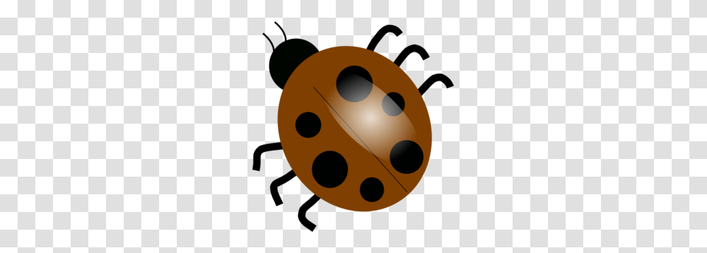 Brown Ladybugs Clip Art, Ball, Sport, Sports, Dice Transparent Png