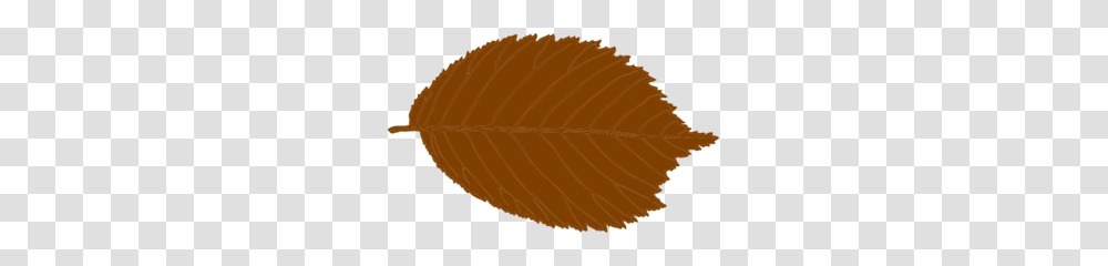 Brown Leaf Clip Art, Oval, Sweets, Food, Confectionery Transparent Png