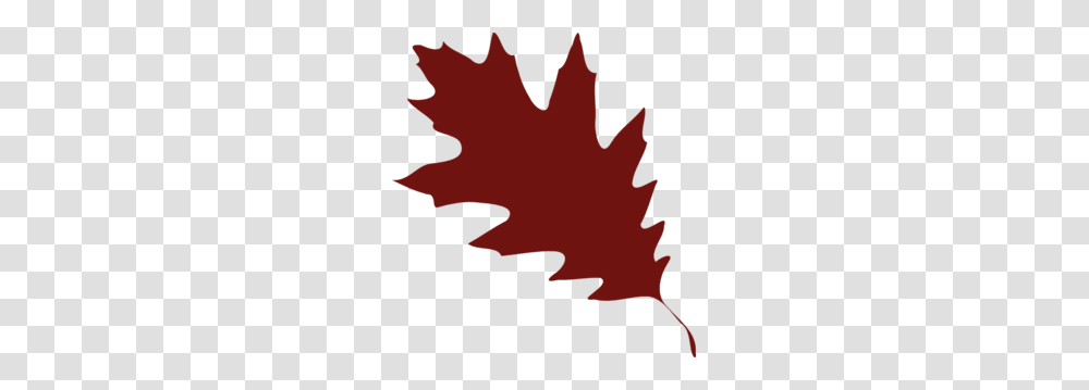 Brown Leaf Clip Art, Plant, Tree, Maple, Maple Leaf Transparent Png