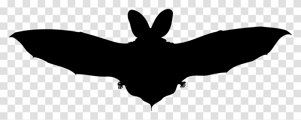 Brown Long Eared Bat Big Image Clip Art, Gray, World Of Warcraft Transparent Png