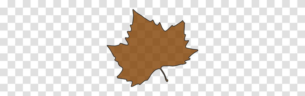 Brown Maple Leaf Clip Art For Web, Plant, Tree, Person, Human Transparent Png