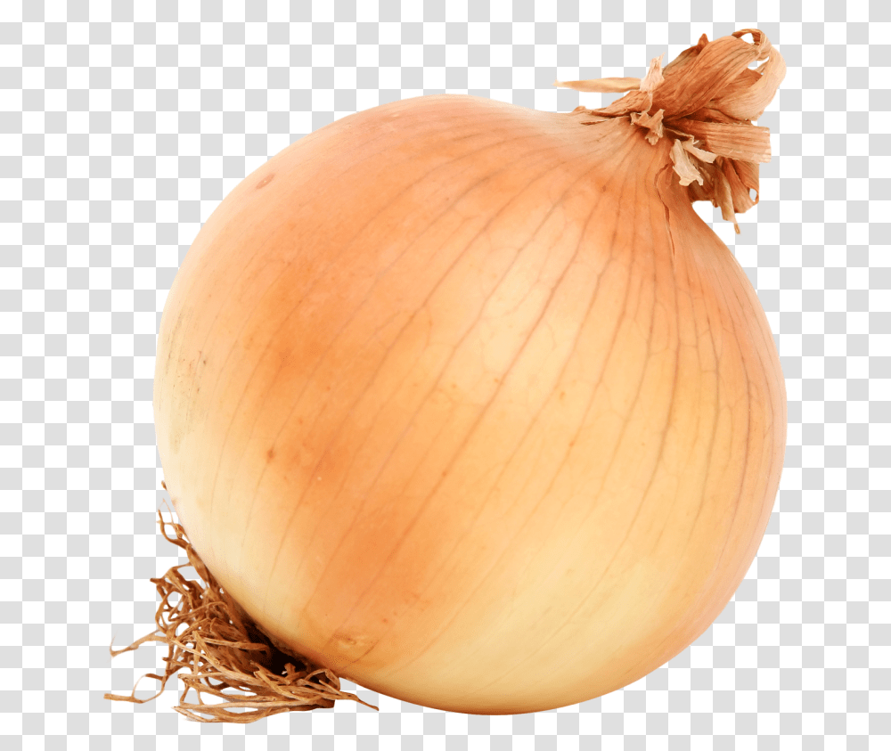 Brown Onion Image Onion, Plant, Shallot, Vegetable, Food Transparent Png