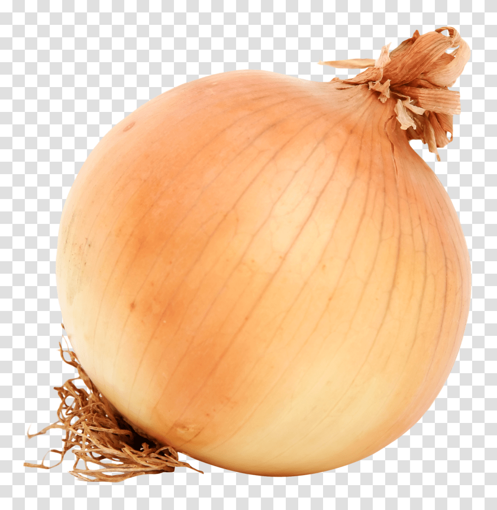 Brown Onion Image, Vegetable, Lamp, Plant, Food Transparent Png