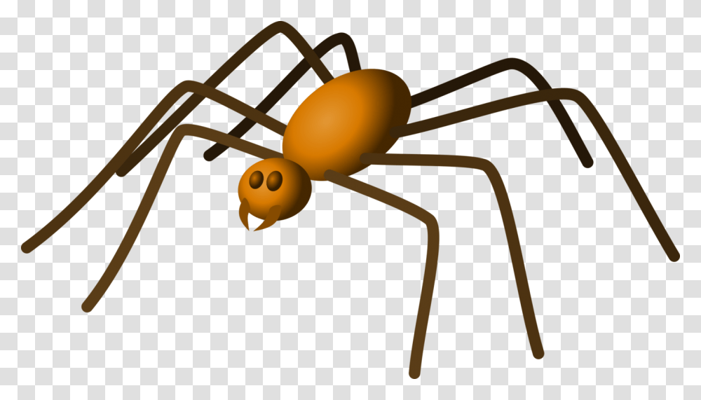 Brown Recluse Spider Eight Legs House Spider Spider Web Free, Invertebrate, Animal, Insect, Ant Transparent Png