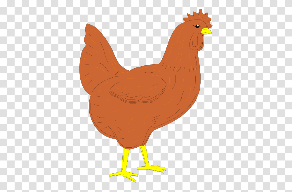 Brown Rooster Clip Art, Hen, Chicken, Poultry, Fowl Transparent Png
