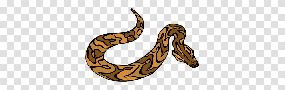 Brown Snake Clipart, Reptile, Animal, Anaconda, Rock Python Transparent Png