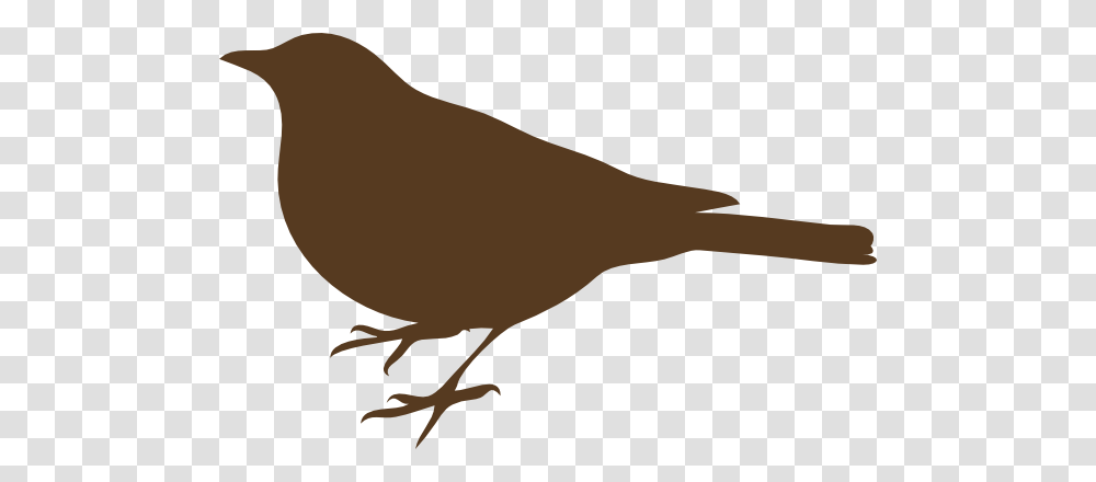 Brown Song Bird Clip Art, Blackbird, Animal, Agelaius, Finch Transparent Png