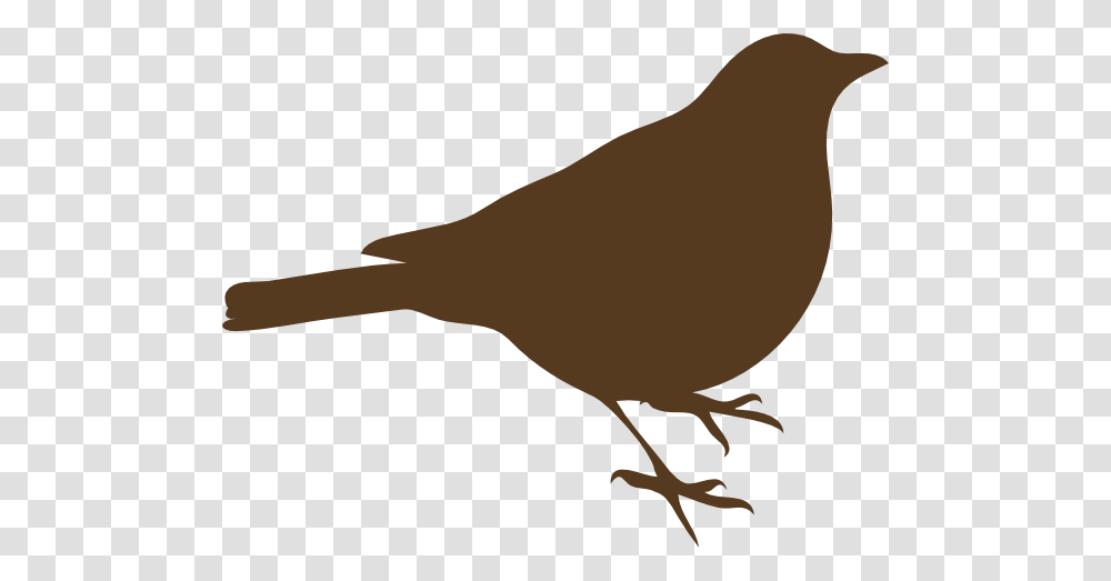 Brown Song Bird Clip Art, Finch, Animal, Blackbird, Agelaius Transparent Png