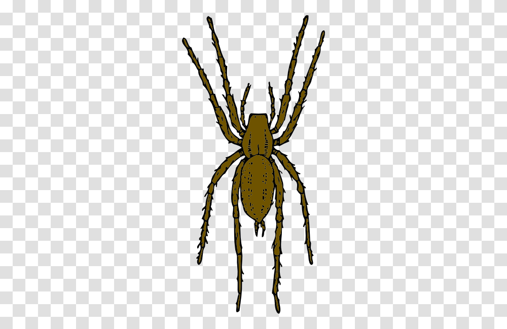 Brown Spider Clip Art, Invertebrate, Animal, Insect, Arachnid Transparent Png