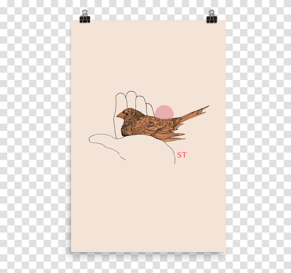 Brown Thrasher Download Illustration, Bird, Animal, Sparrow Transparent Png