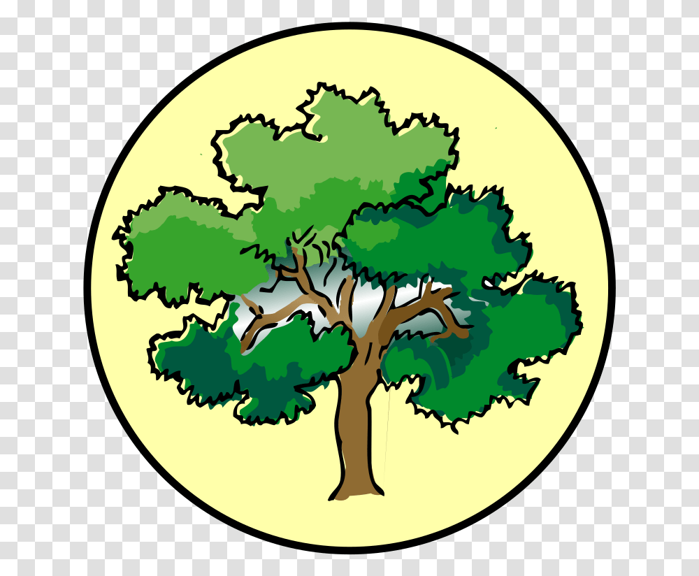 Brown Tree Branch Svg Clip Arts Download Download Clip Art Clip Art Forest School, Plant, Food, Vegetable, Vegetation Transparent Png