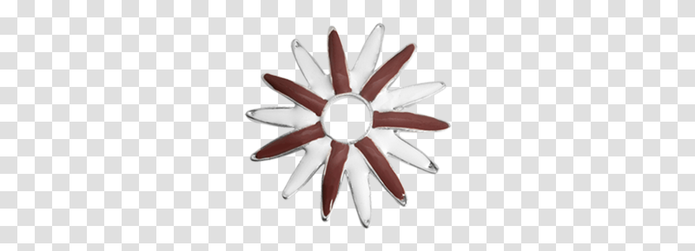 Brown White Flower Cut Flowers, Pillow, Cushion Transparent Png