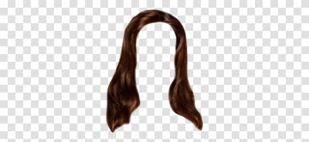 Brown Wig Brown Wig Images, Hair, Person, Human, Ponytail Transparent Png