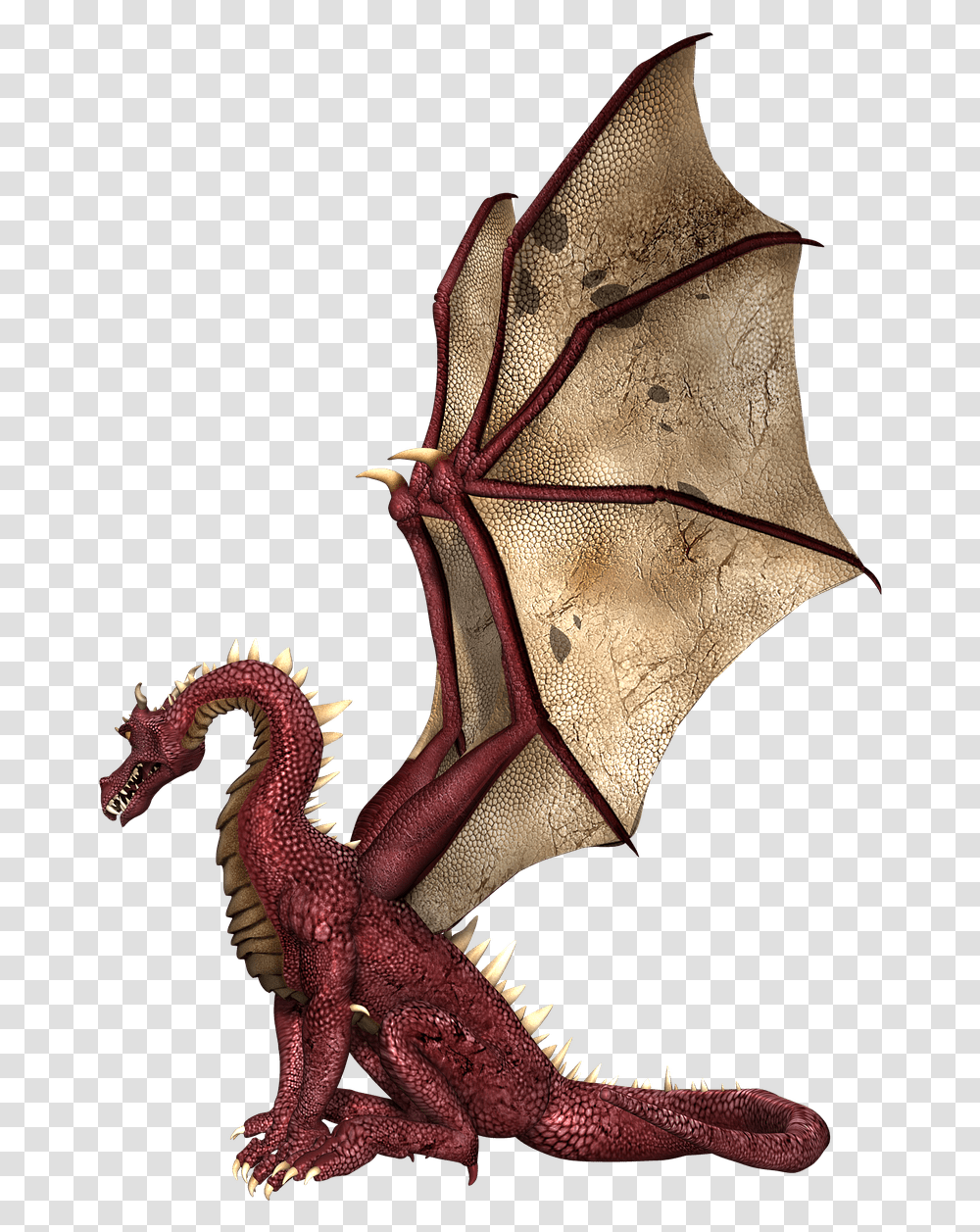 Brown Wings Sitting Dragon, Person, Human Transparent Png