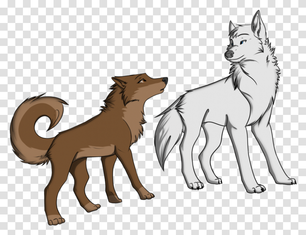 Brown Wolf With White Wolf, Animal, Mammal, Wildlife, Horse Transparent Png