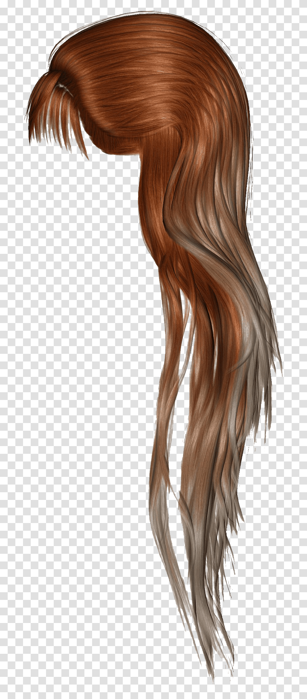 Brown Women Hair Hd Image Ponytail Hair Painting, Bird, Animal, Wig Transparent Png