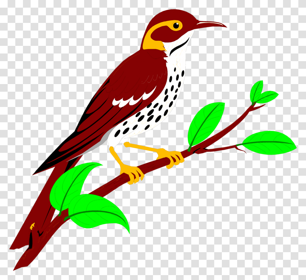 Brownish Red Thrush Free Stock Illustration Of Clip Art, Bird, Animal, Finch, Bee Eater Transparent Png