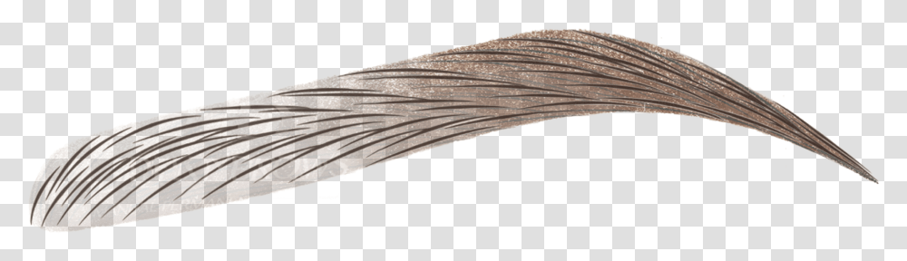 Brows Image With No Background, Incense, Weapon, Weaponry, Grain Transparent Png