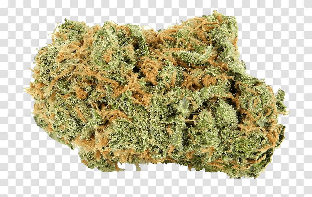 Bruce Banner Marijuana, Plant, Weed, Rug, Moss Transparent Png