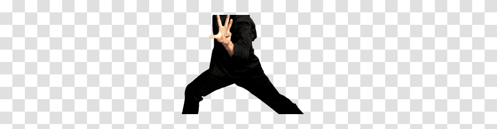 Bruce Lee Dj Image, Dance Pose, Leisure Activities, Performer, Person Transparent Png