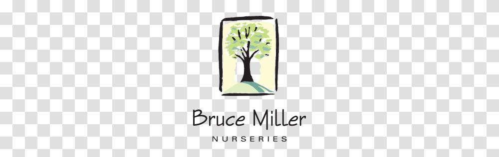 Bruce Miller Nursery, Plant, Tree, Floral Design Transparent Png