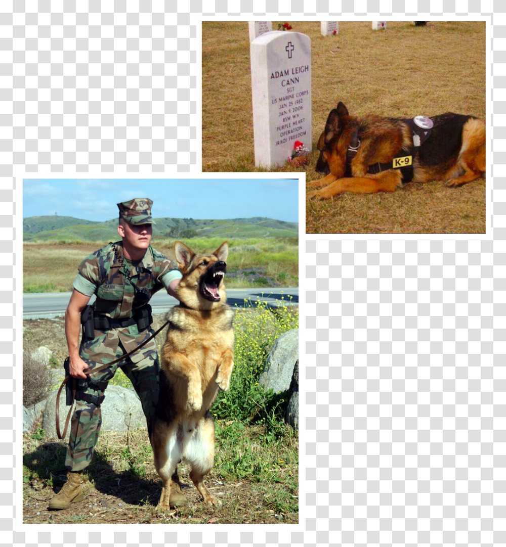 Bruno Laying Down At Sgt Adam Leigh Cann, Person, German Shepherd, Dog, Pet Transparent Png