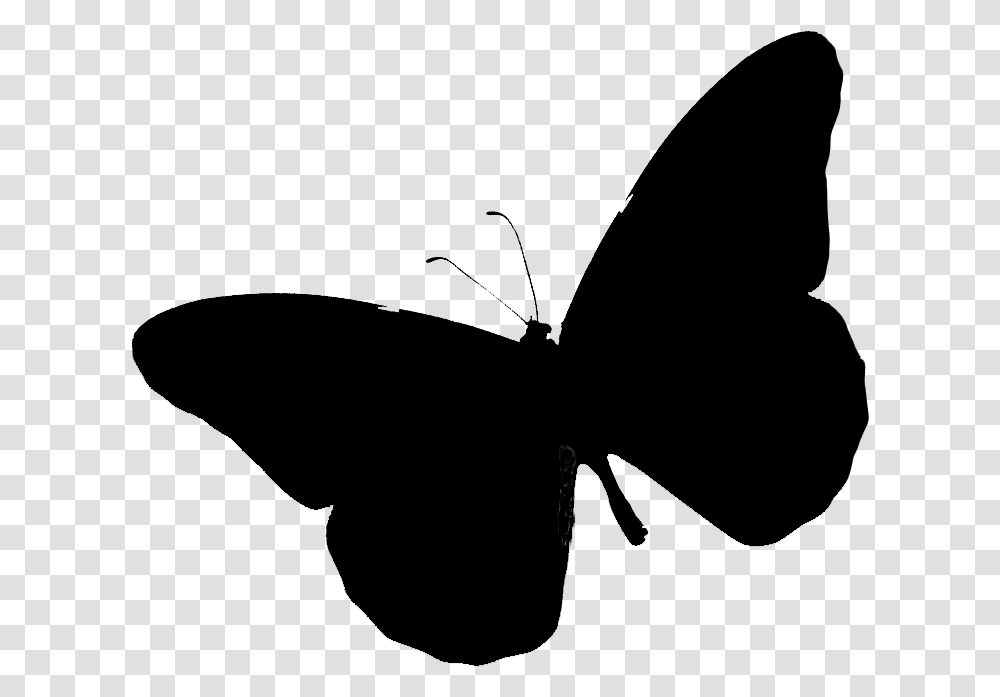 Brush Footed Butterflies Clip Art Silhouette Black Brush Footed Butterfly, Gray, World Of Warcraft Transparent Png