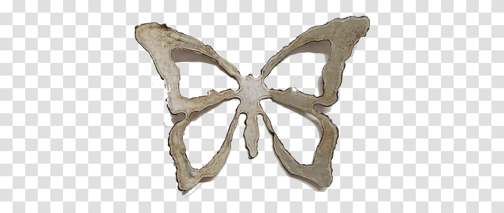 Brush Footed Butterfly, Antler, Skeleton, Fossil Transparent Png