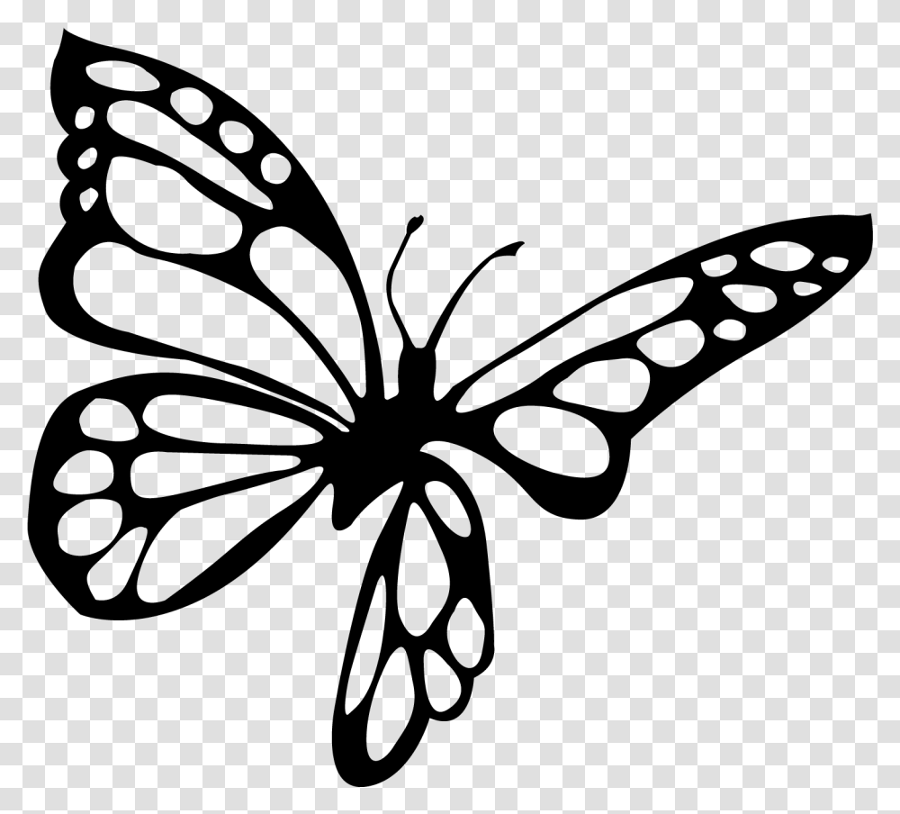 Brush Footed Butterfly, Gray, World Of Warcraft Transparent Png