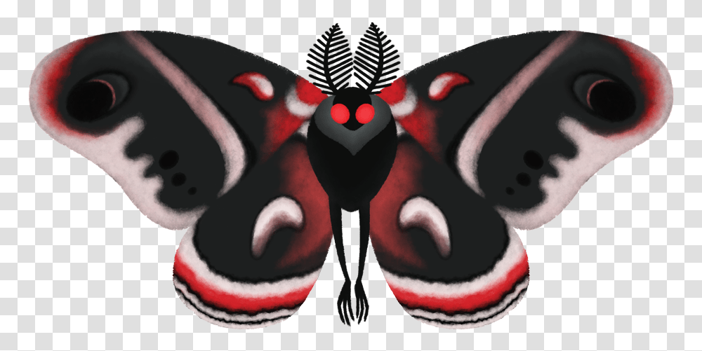Brush Footed Butterfly, Insect, Invertebrate, Animal, Moth Transparent Png