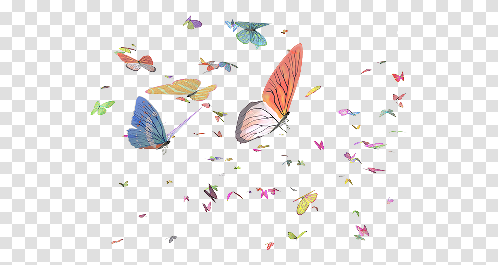 Brush Footed Butterfly, Petal, Flower, Plant, Animal Transparent Png
