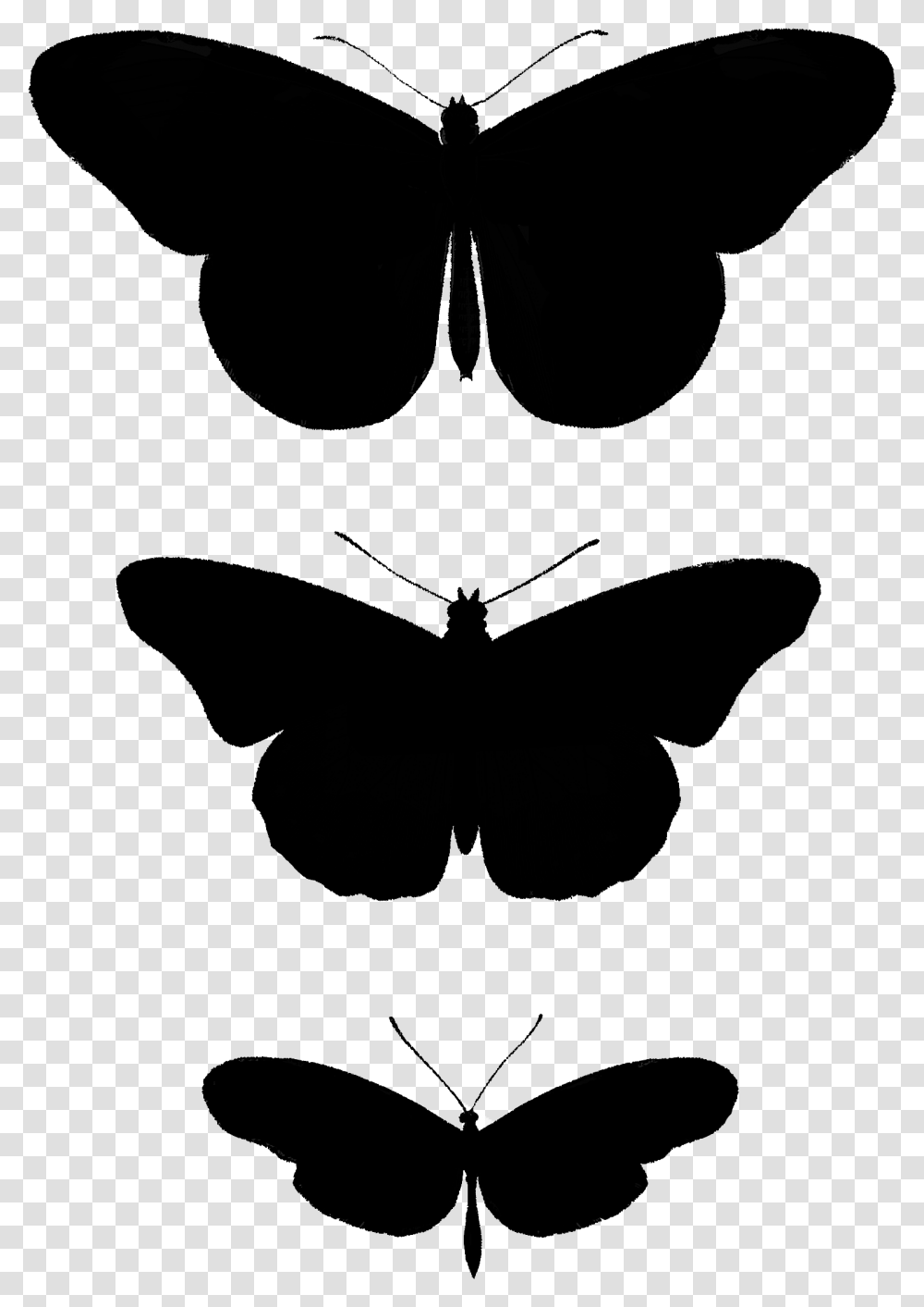 Brush Footed Butterfly Transparent Png