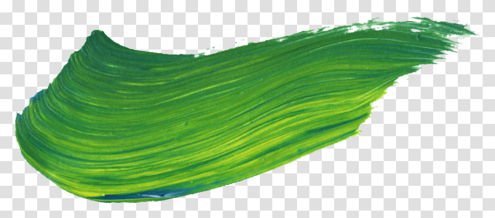 Brush Stroke Close Up, Plant, Green, Grass, Animal Transparent Png