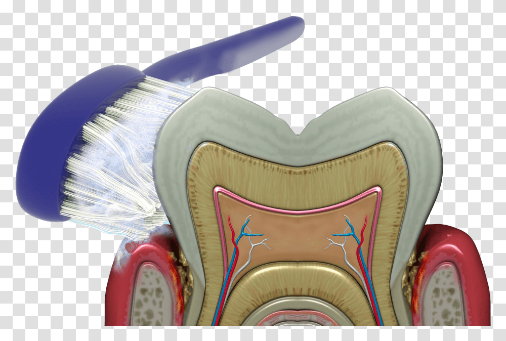 Brushing Rinsing And Flossing Cannot Reach The Bacteria Brush, Cushion, Furniture, Architecture, Building Transparent Png