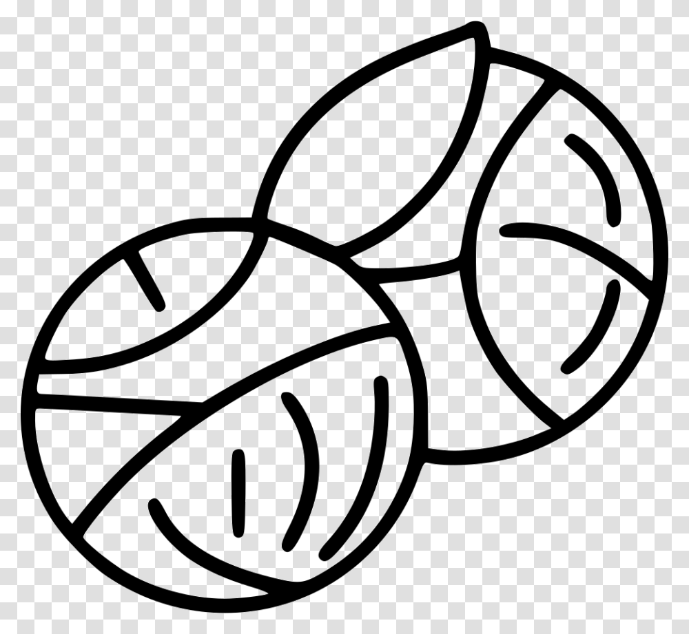 Brussel Sprout Icon, Ball, Sport, Sports Transparent Png