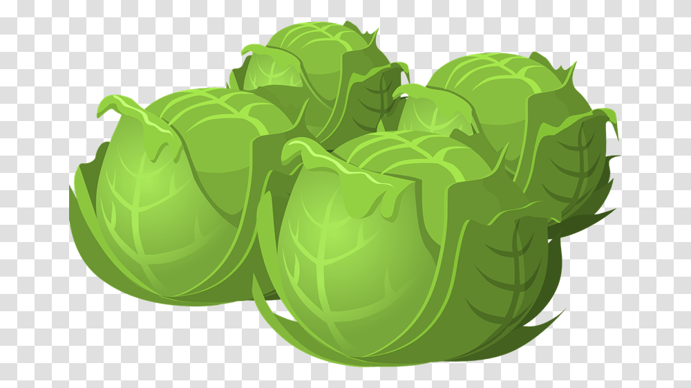 Brussel Sprouts Cartoon, Plant, Head Cabbage, Produce, Vegetable Transparent Png