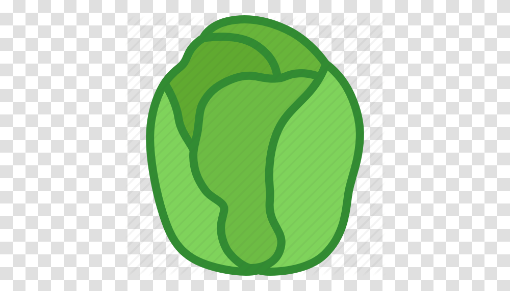 Brussels Brussles Cabbage Green Miniature Sprout Sprouts Icon, Plant, Vegetable, Food, Pepper Transparent Png