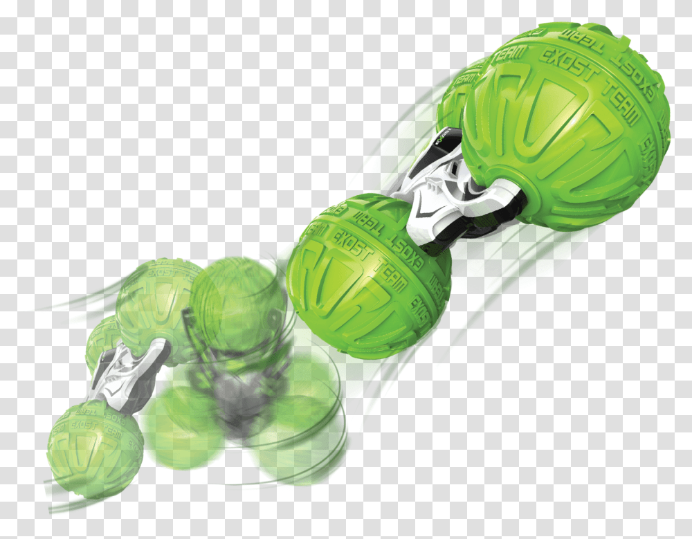 Brussels Sprout, Green, Animal, Plant, Invertebrate Transparent Png