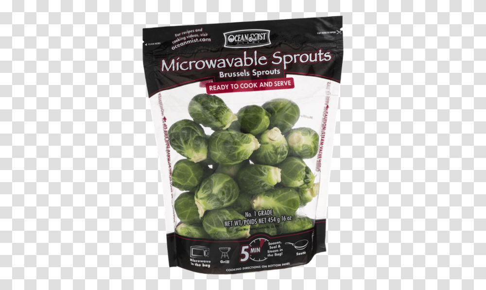Brussels Sprout, Plant, Cabbage, Vegetable, Food Transparent Png