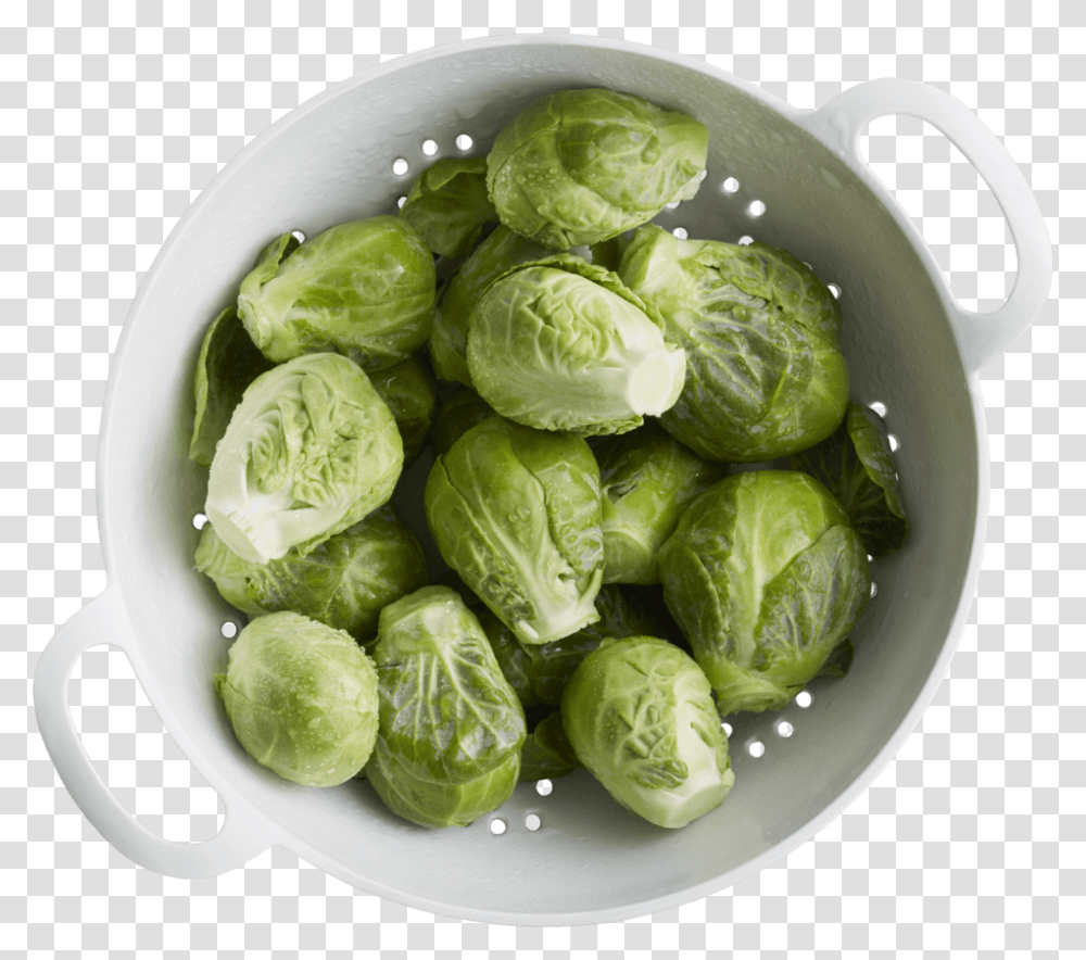 Brussels Sprout, Plant, Cabbage, Vegetable, Food Transparent Png