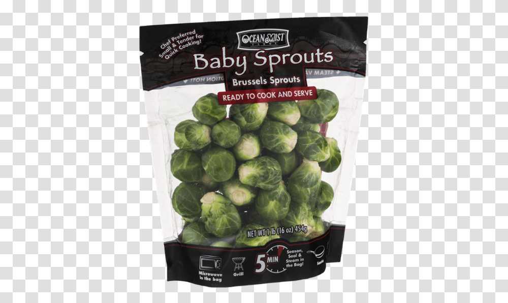Brussels Sprout, Plant, Vegetable, Food, Cabbage Transparent Png