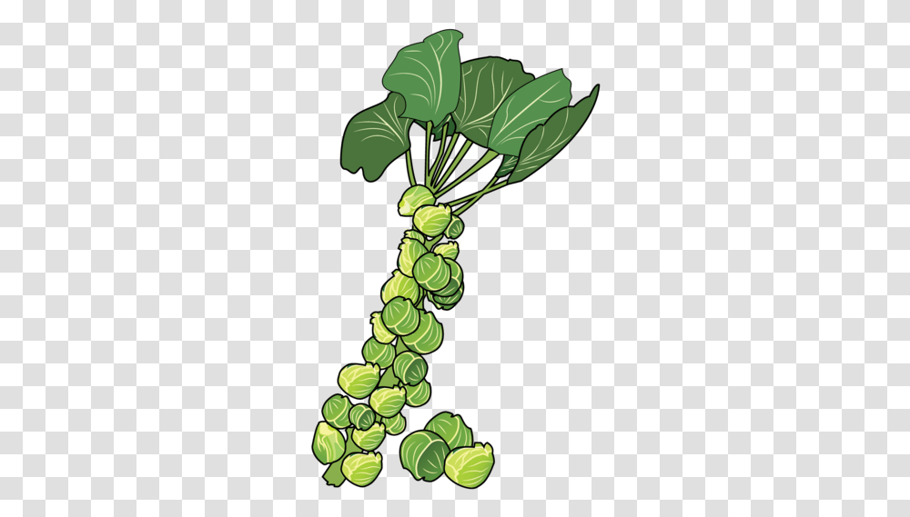 Brussels Sprouts Clipart, Green, Plant, Food Transparent Png