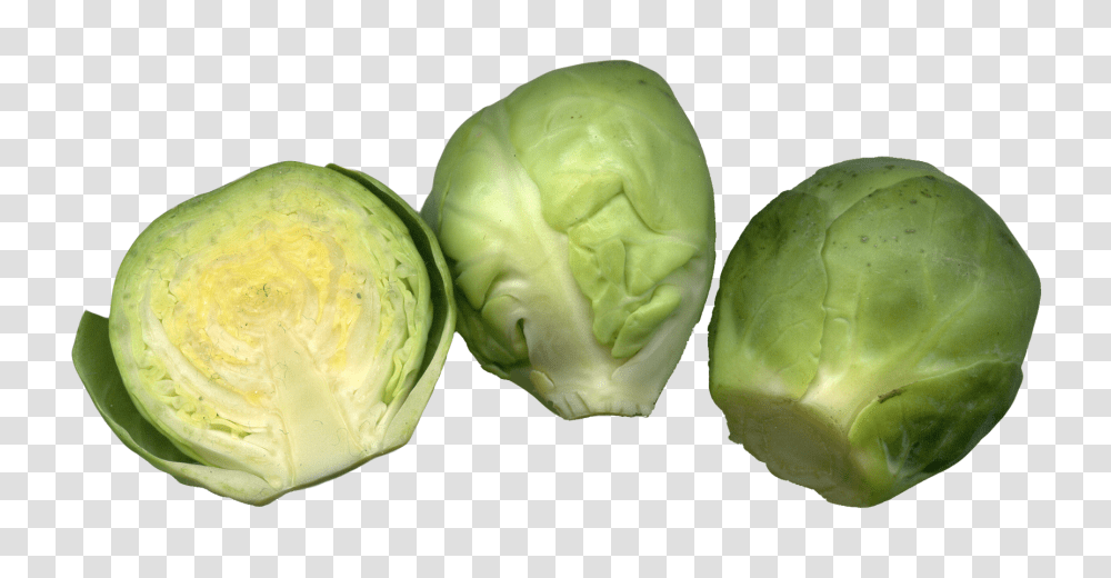 Brussels Sprouts Cut Image, Vegetable, Plant, Cabbage, Food Transparent Png