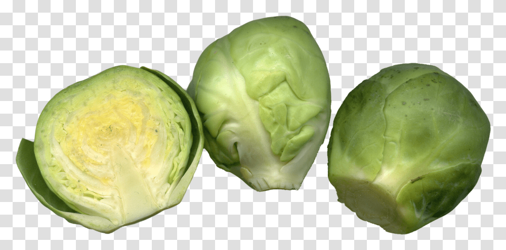 Brussels Sprouts Image Clipart Brussel Sprouts, Plant, Cabbage, Vegetable, Food Transparent Png