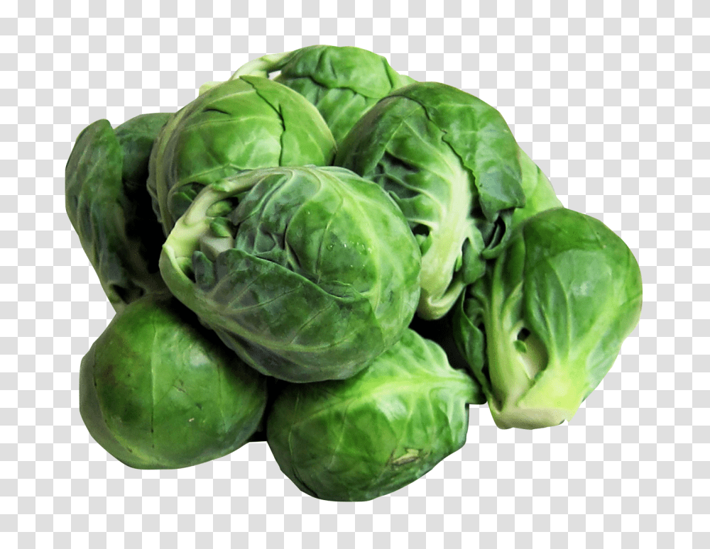 Brussels Sprouts Image, Vegetable, Plant, Cabbage, Food Transparent Png