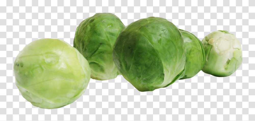 Brussels Sprouts, Vegetable, Plant, Cabbage, Food Transparent Png