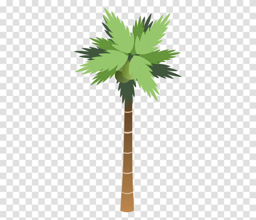 Bsantos Palm Tree, Nature, Plant, Arecaceae, Leaf Transparent Png