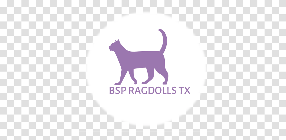 Bsp Ragdolls Tx Complexity Killed The Cat, Mammal, Animal, Goat, Label Transparent Png