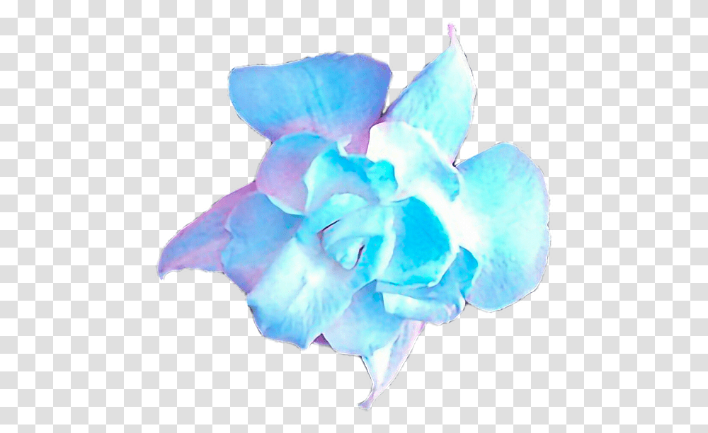 Bts Loveyourself Smeraldofreetoedit Artificial Flower, Plant, Blossom, Petal, Rose Transparent Png